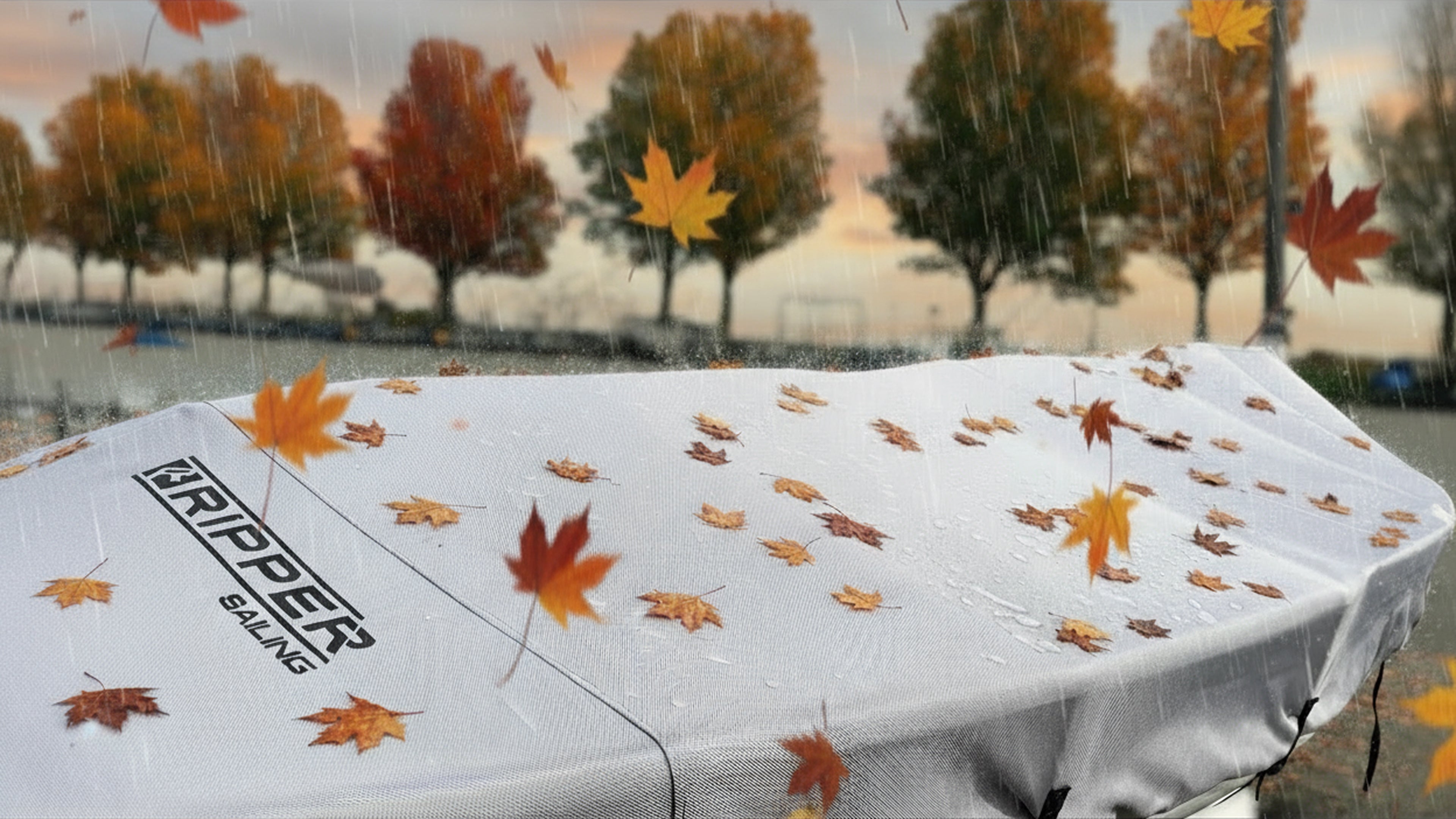 Fall Finn Ripper Sailing